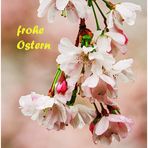frohe Ostern ....