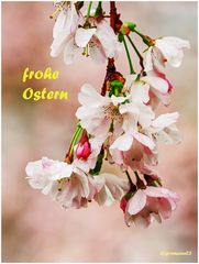 frohe Ostern ....