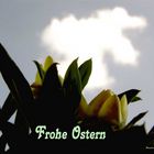 Frohe Ostern !!