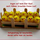 Frohe Ostern