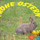 FROHE OSTERN