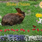 Frohe Ostern