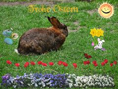 Frohe Ostern