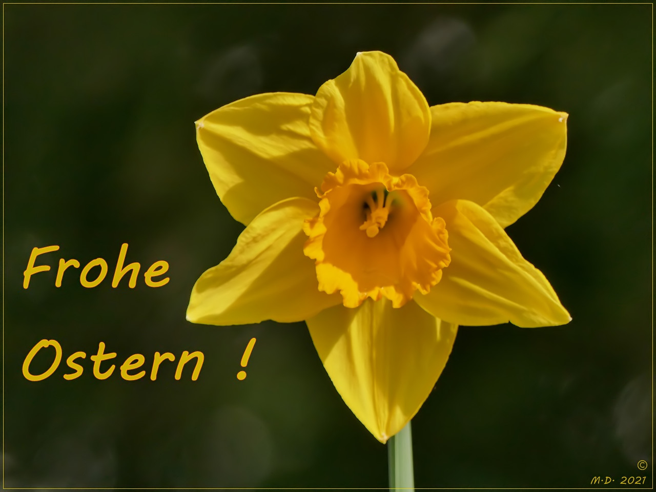 *** Frohe Ostern ***