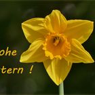*** Frohe Ostern ***