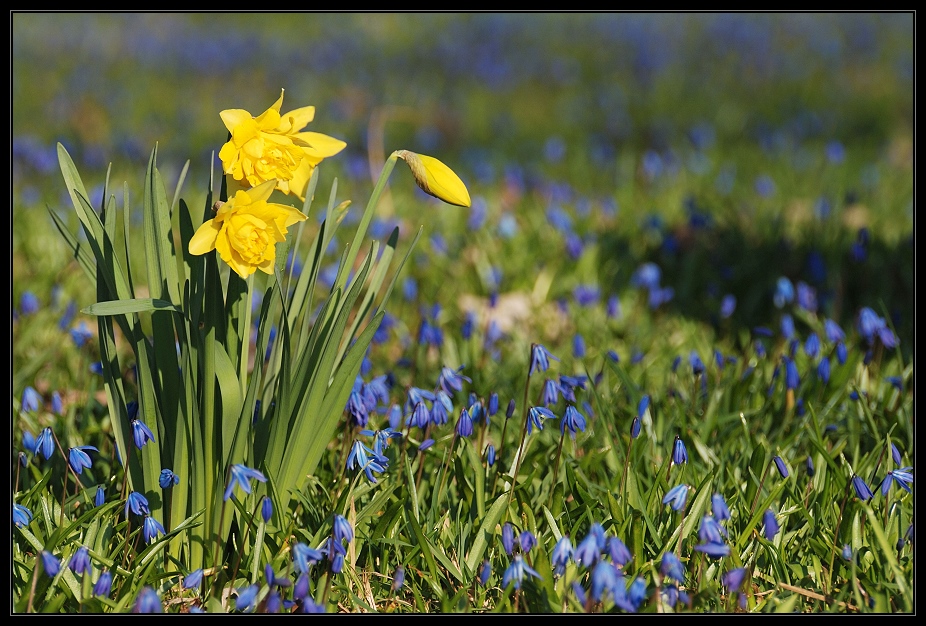 Frohe Ostern