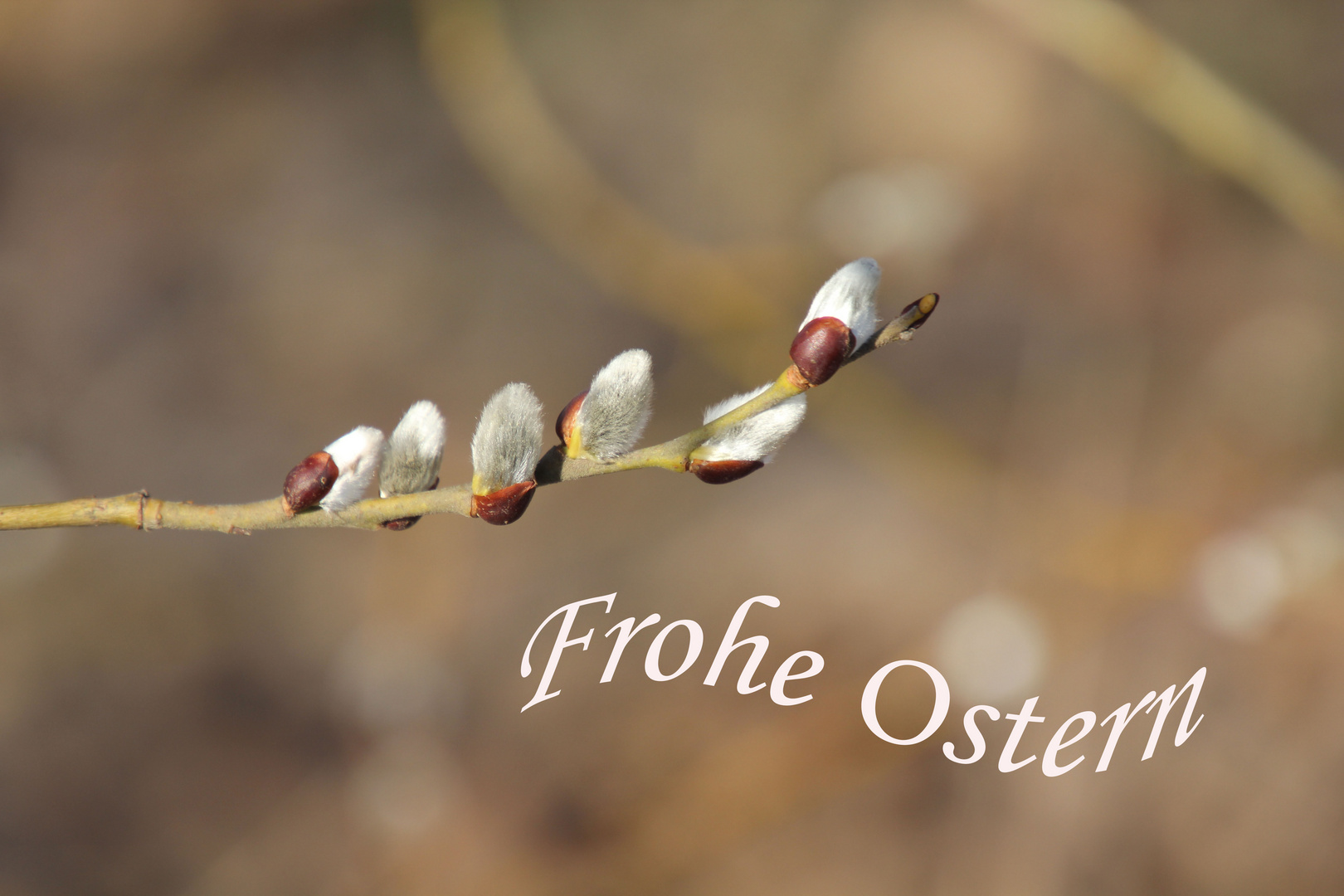 Frohe Ostern