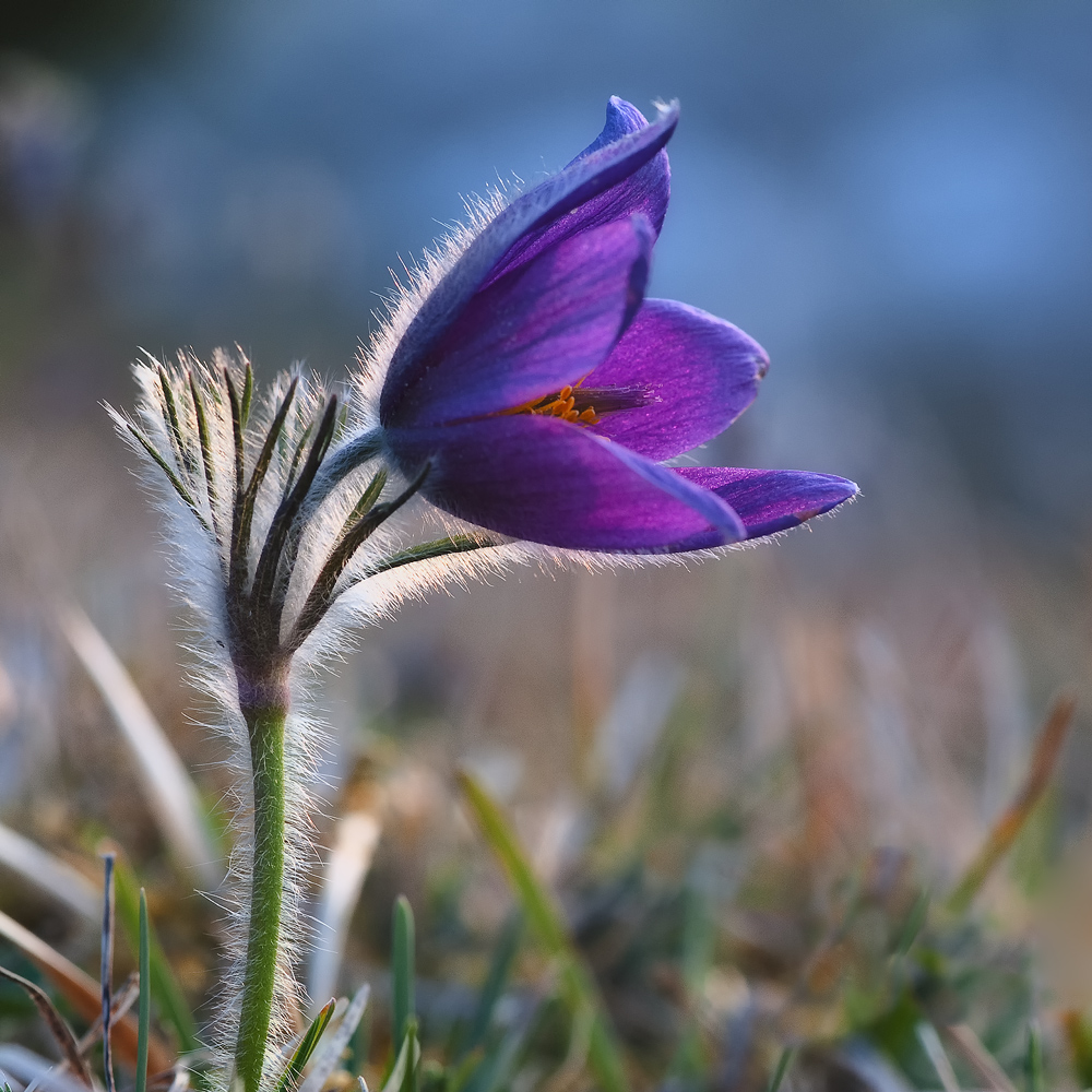 frohe Ostern