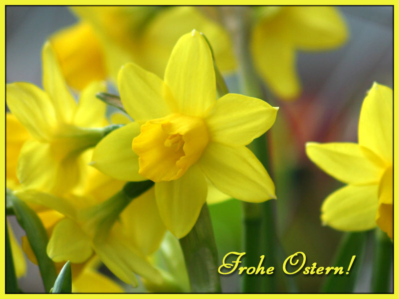 Frohe Ostern!