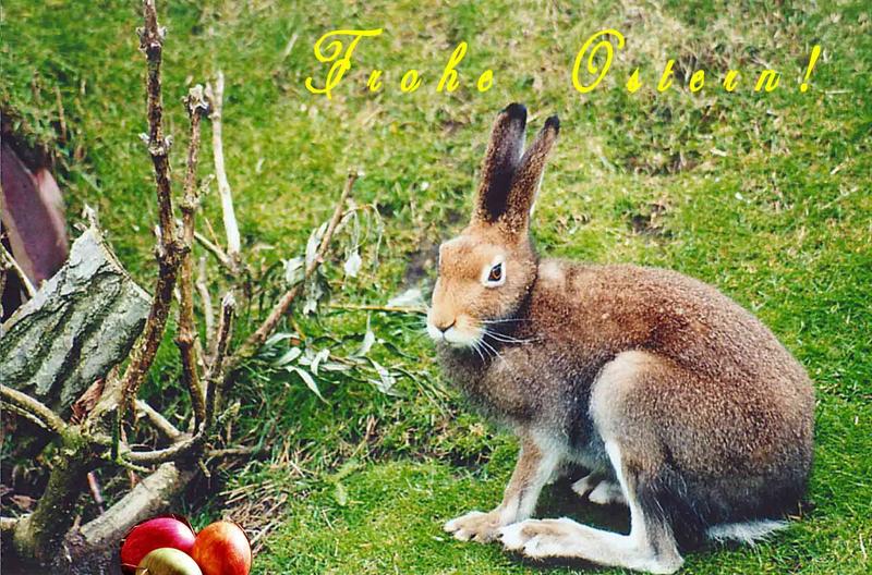 Frohe Ostern!