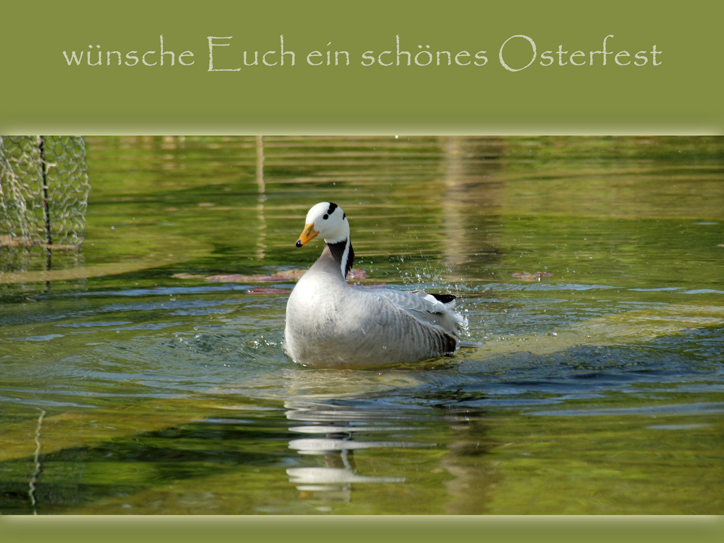 Frohe Ostern