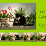 Frohe Ostern