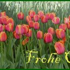 Frohe Ostern ....