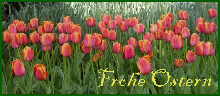 Frohe Ostern ....