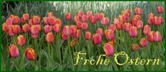 Frohe Ostern ....