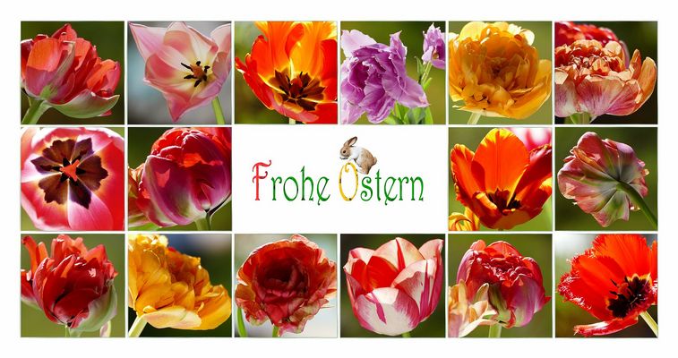 FROHE OSTERN