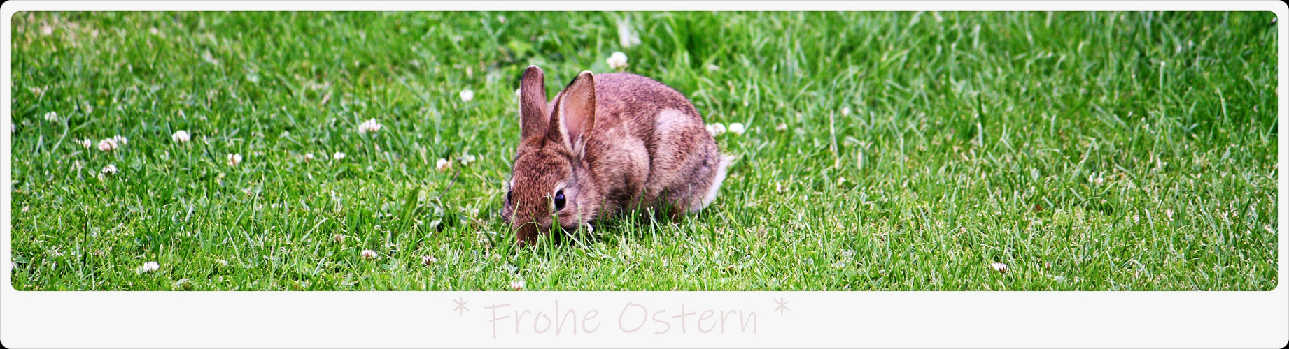 * Frohe Ostern *