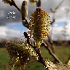 Frohe Ostern