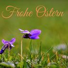 Frohe Ostern