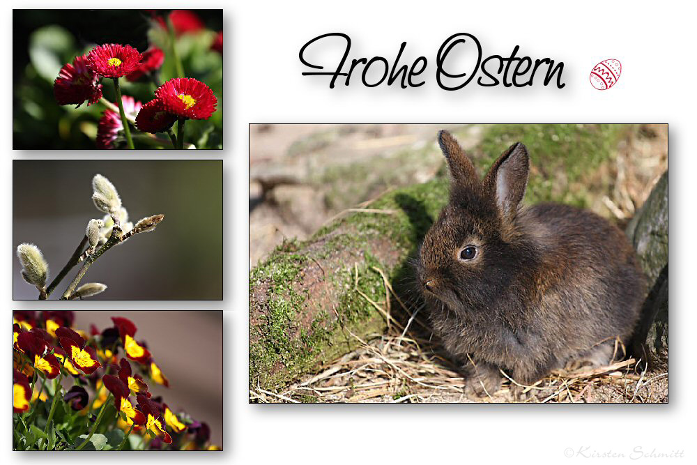 Frohe Ostern