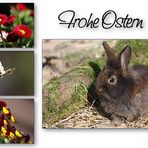 Frohe Ostern