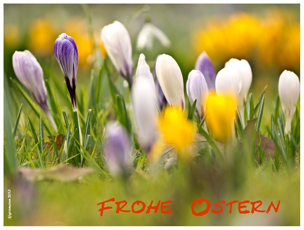 Frohe Ostern.......