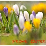 Frohe Ostern.......