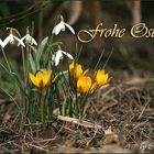 Frohe Ostern