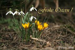 Frohe Ostern