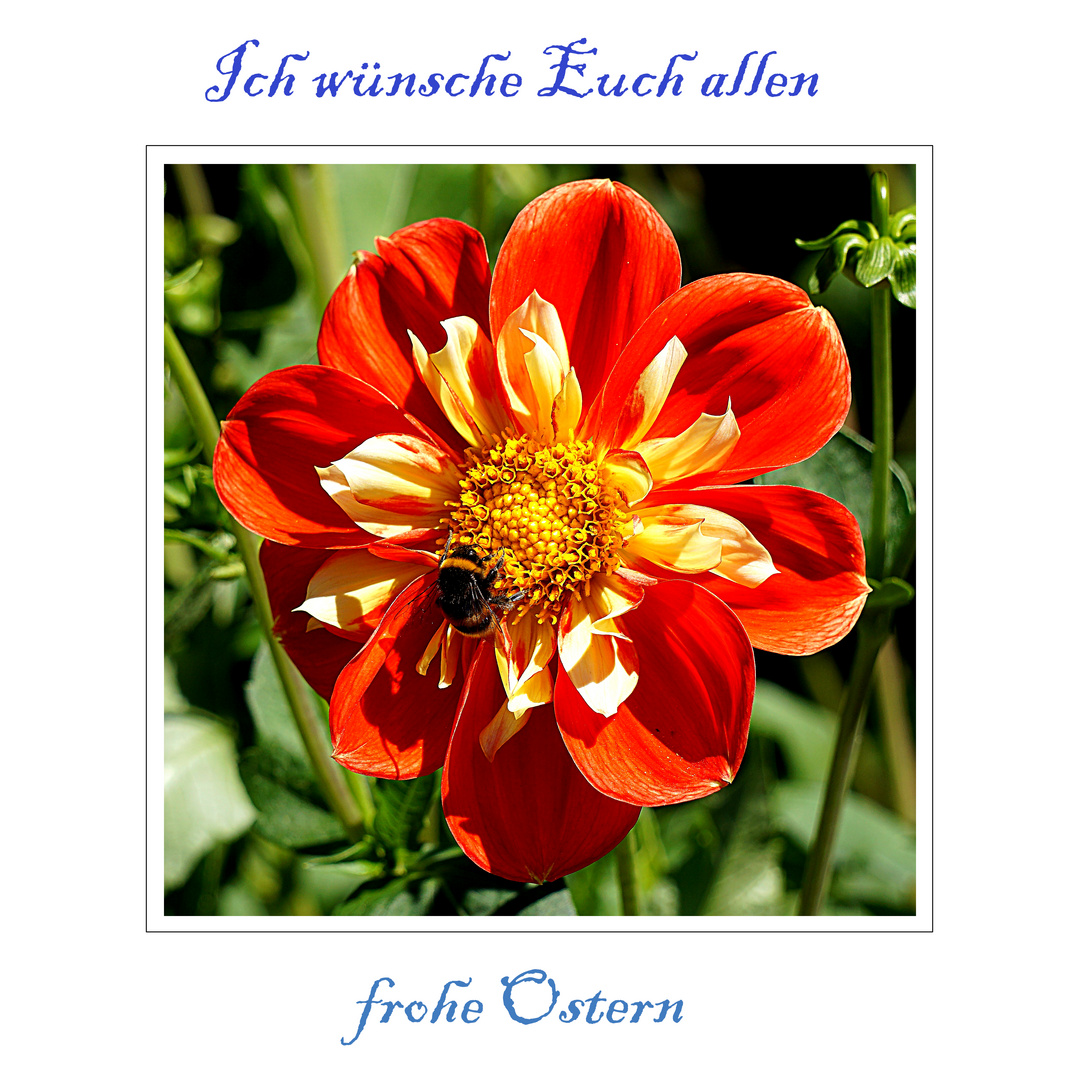 Frohe Ostern