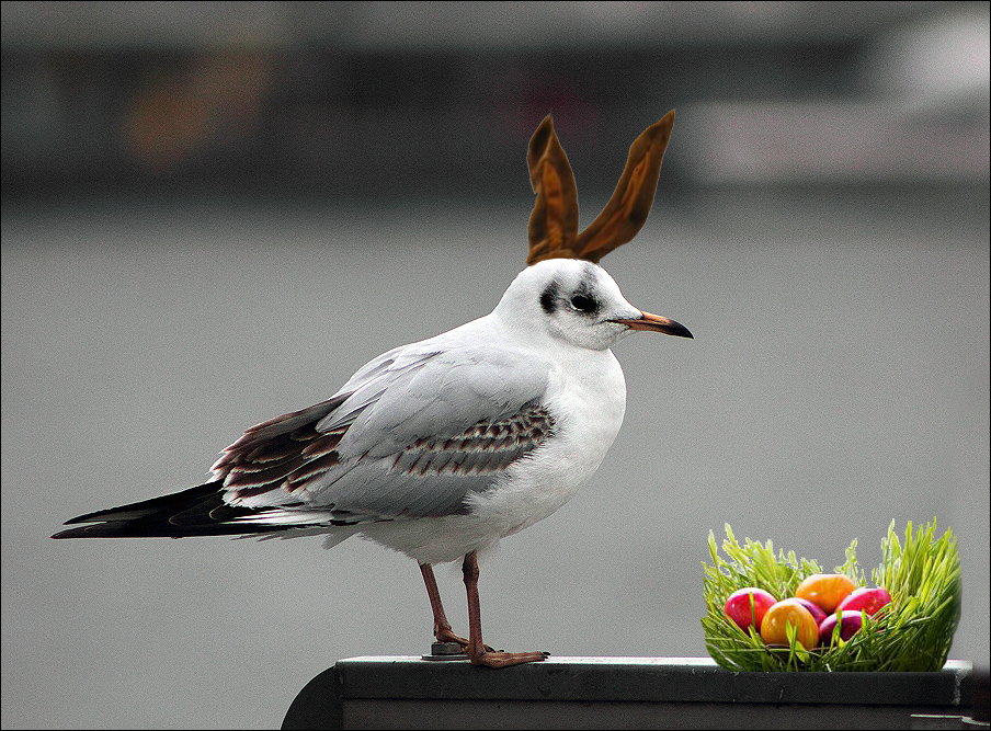 Frohe Ostern