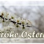 Frohe Ostern!