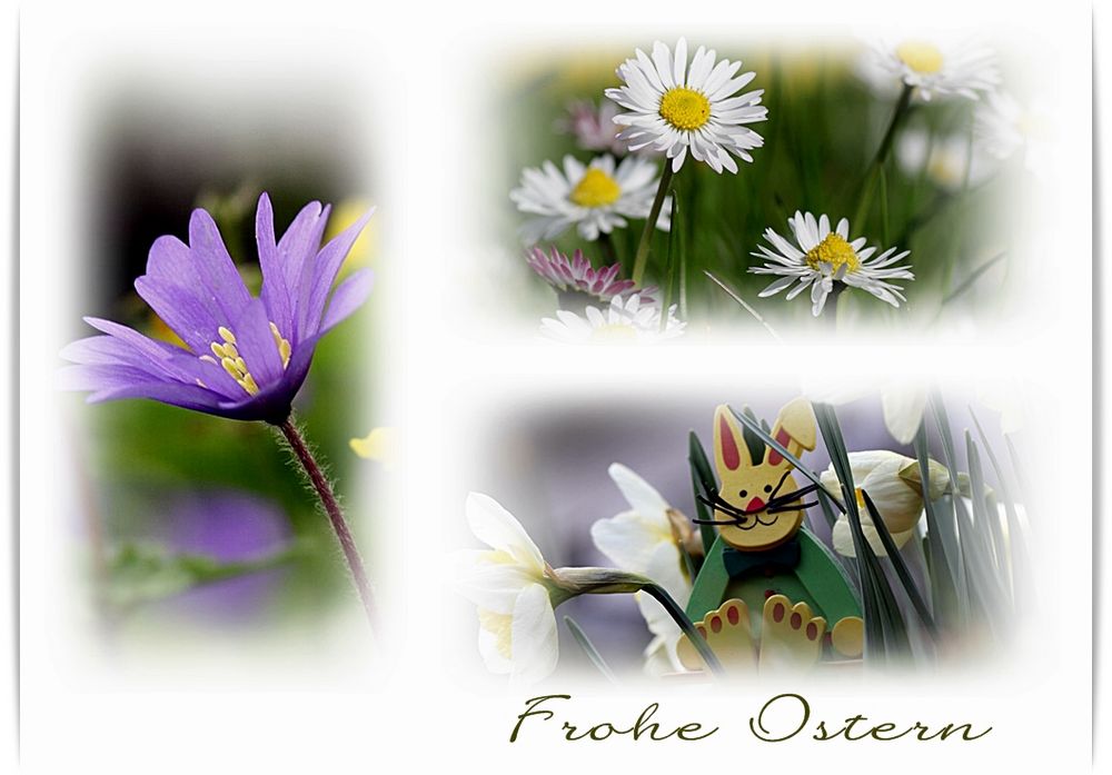 Frohe Ostern!