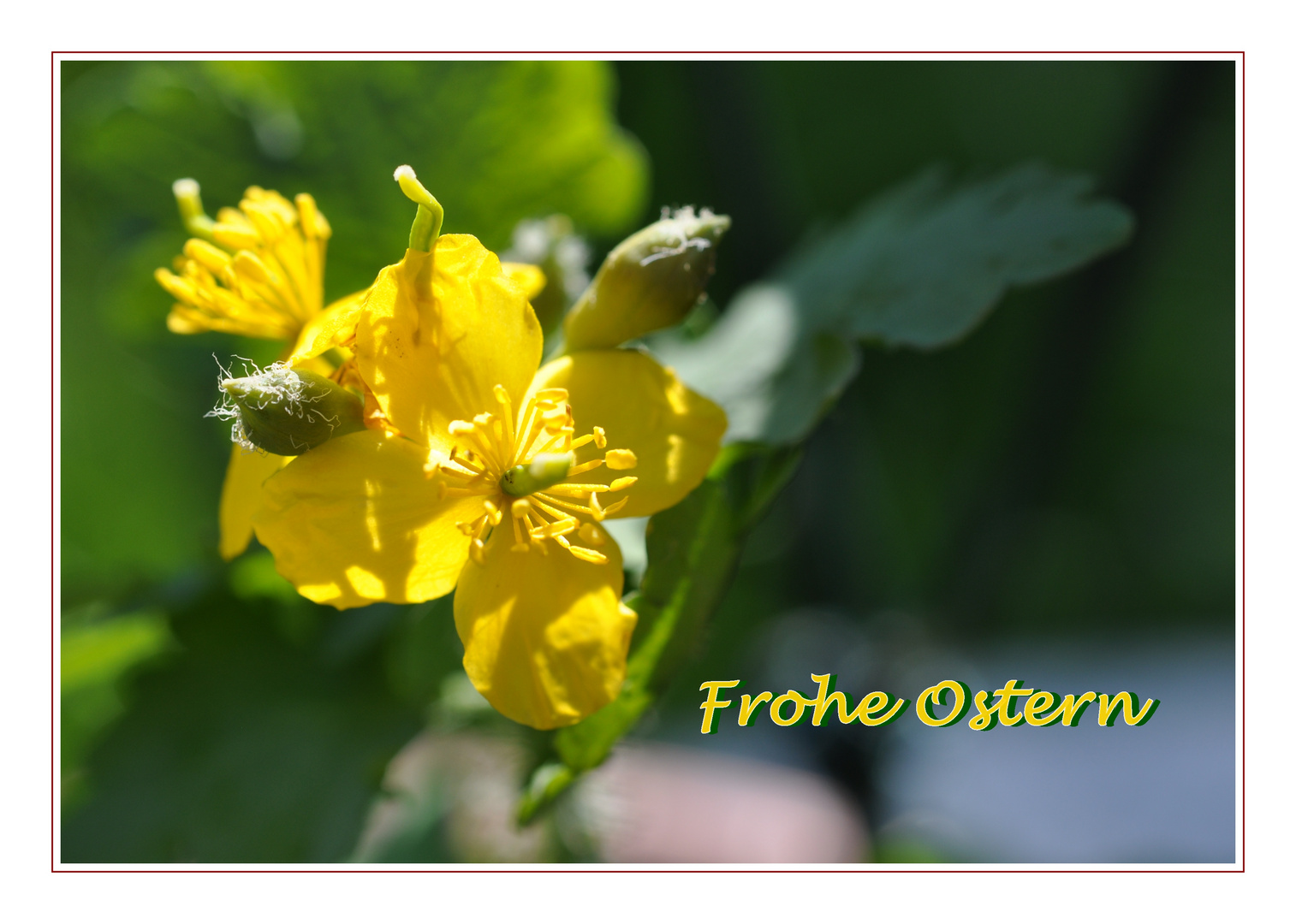 Frohe Ostern ...