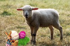 Frohe Ostern