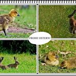 Frohe Ostern!