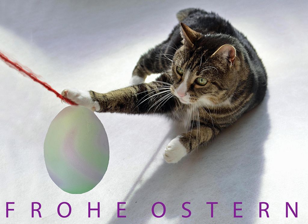 Frohe Ostern