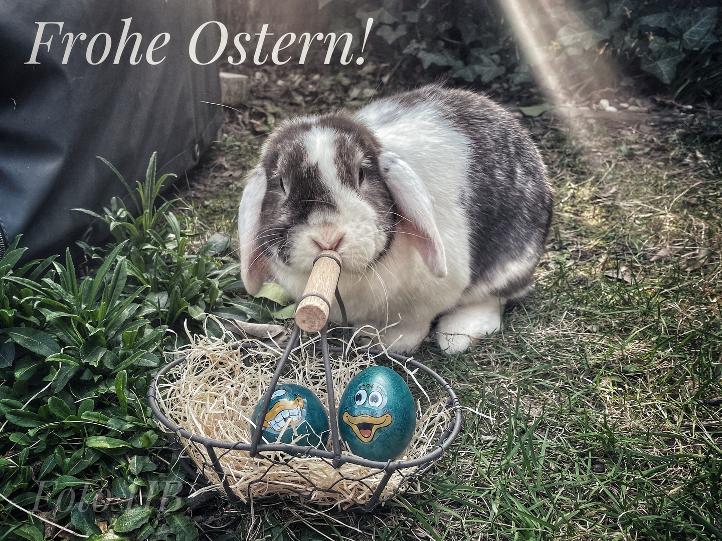 Frohe Ostern 