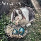 Frohe Ostern 