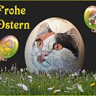 Frohe Ostern