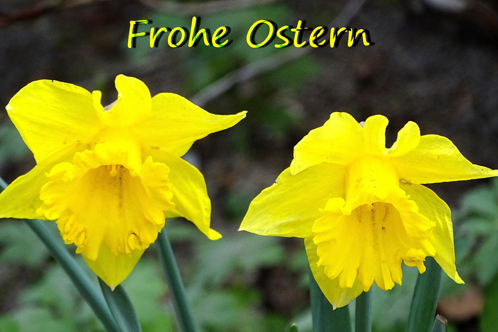 Frohe Ostern