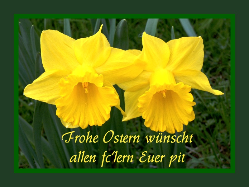 Frohe Ostern