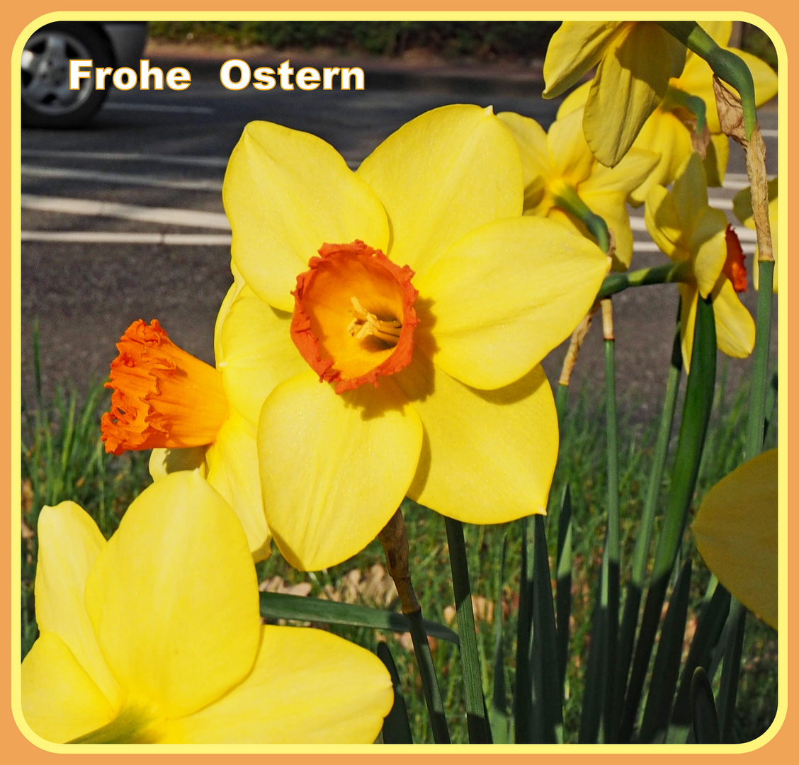 Frohe Ostern