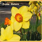 Frohe Ostern