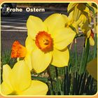 Frohe Ostern