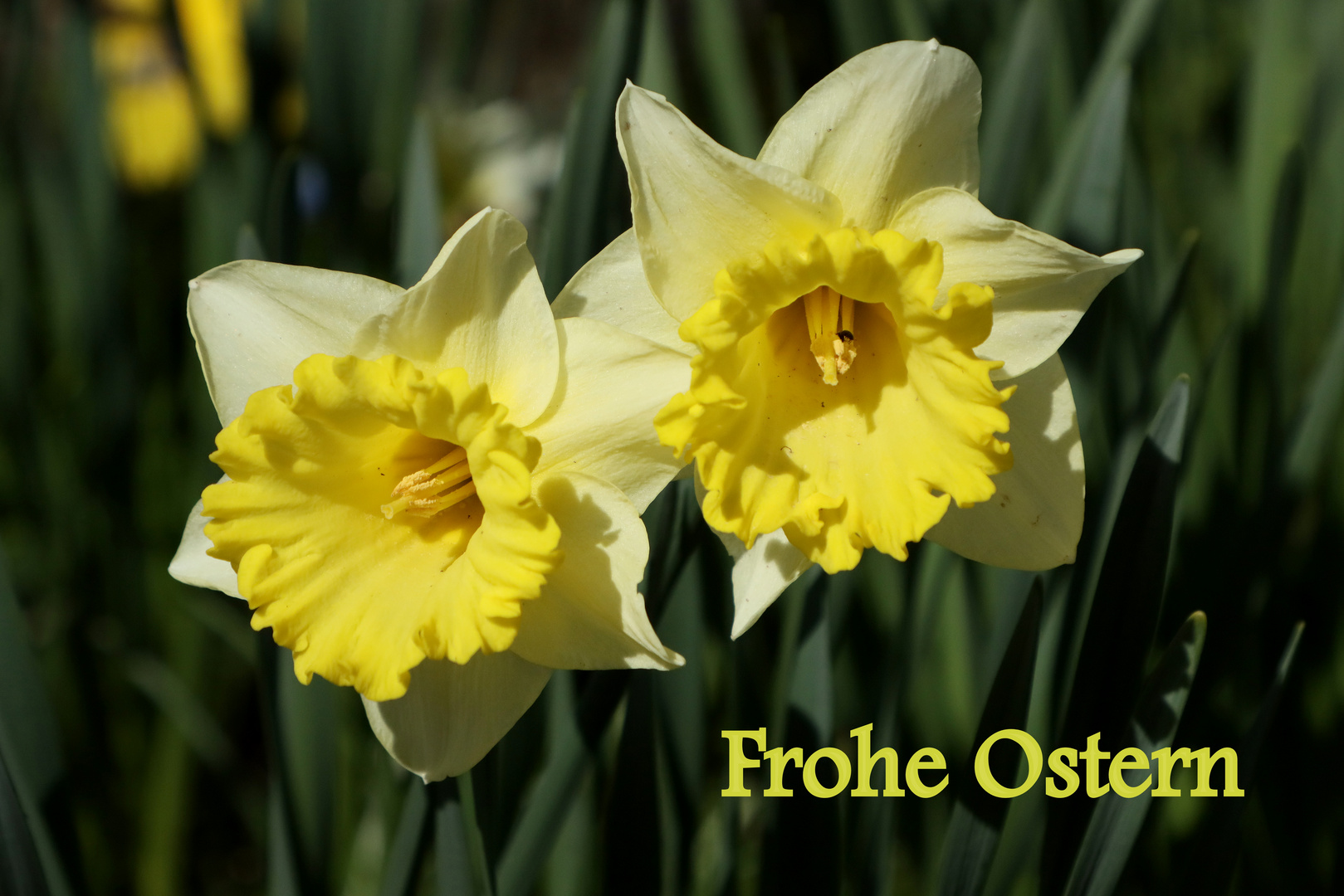 Frohe Ostern