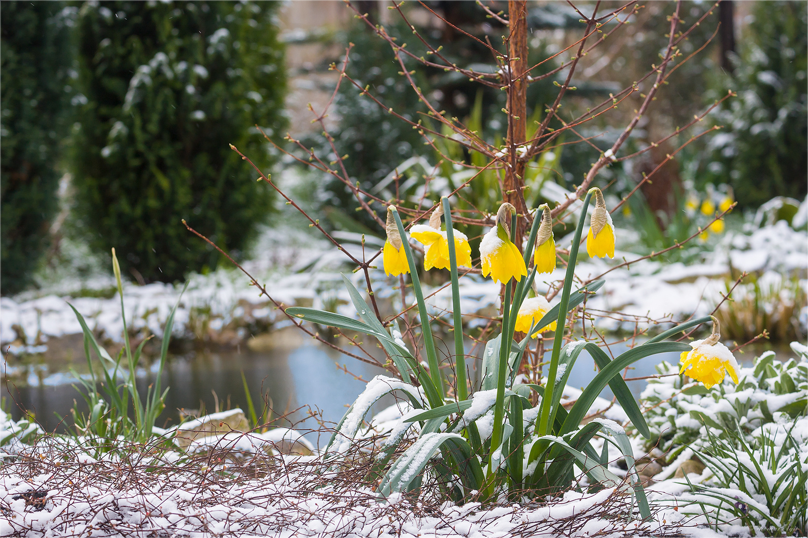 Frohe Ostern...