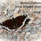 Frohe Ostern