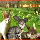 Frohe Ostern