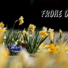 Frohe Ostern